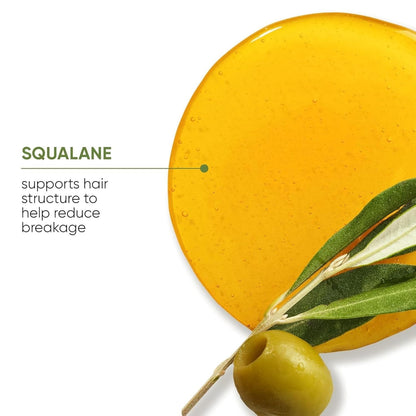 Biolage Strength Recovery Conditioner - Moisturizes & Strengthens Damaged Hair, Softness & Shine, Olive Squalane & Vegan Proteins, Paraben-Free, Vegan, Packaging May Vary